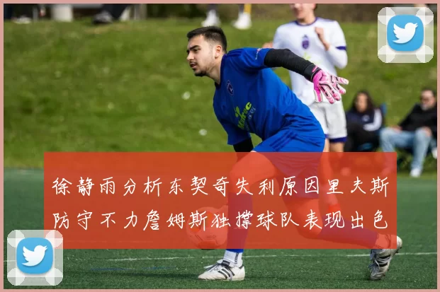 徐静雨分析东契奇失利原因里夫斯防守不力詹姆斯独撑球队表现出色