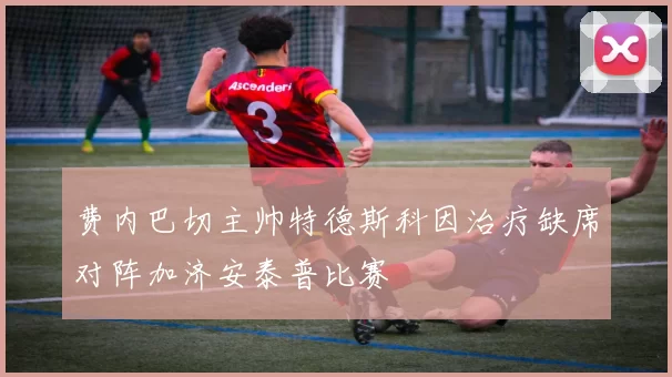 费内巴切主帅特德斯科因治疗缺席对阵加济安泰普比赛